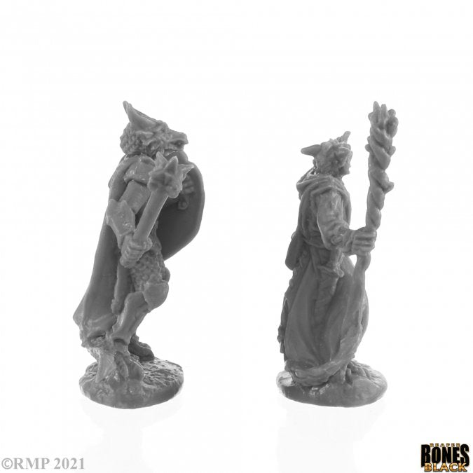 Reaper: Bones Black: Dragonfolk Wizard and Cleric