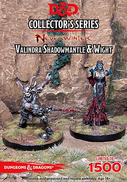 Dungeons and Dragons - Neverwinter Valindra Shadowmantle &amp; Wight (2 Figs)