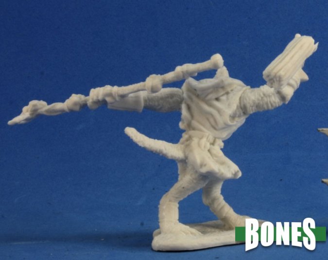 Reaper Bones: Toghra
