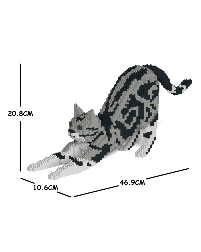 Jekca - American Shorthair Cat - Small (04S-M01)