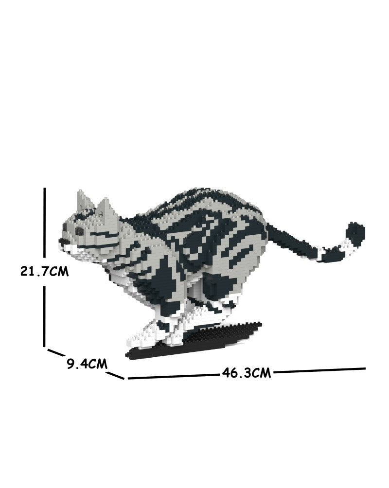 Jekca - American Shorthair Cat - Small (06S-M01)