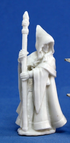 Anirion Wood Elf Wizard - Reaper Bones