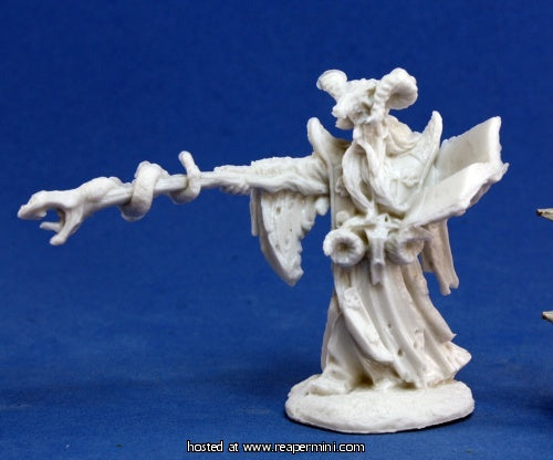 Reaper Bones Leisynn Mercenary Mage