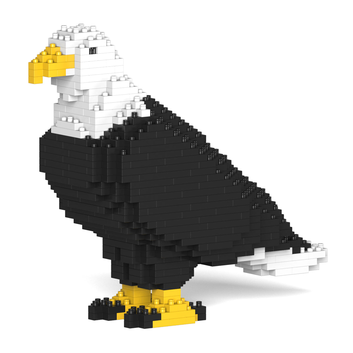 Jekca - Bald Eagle - Small (01S)