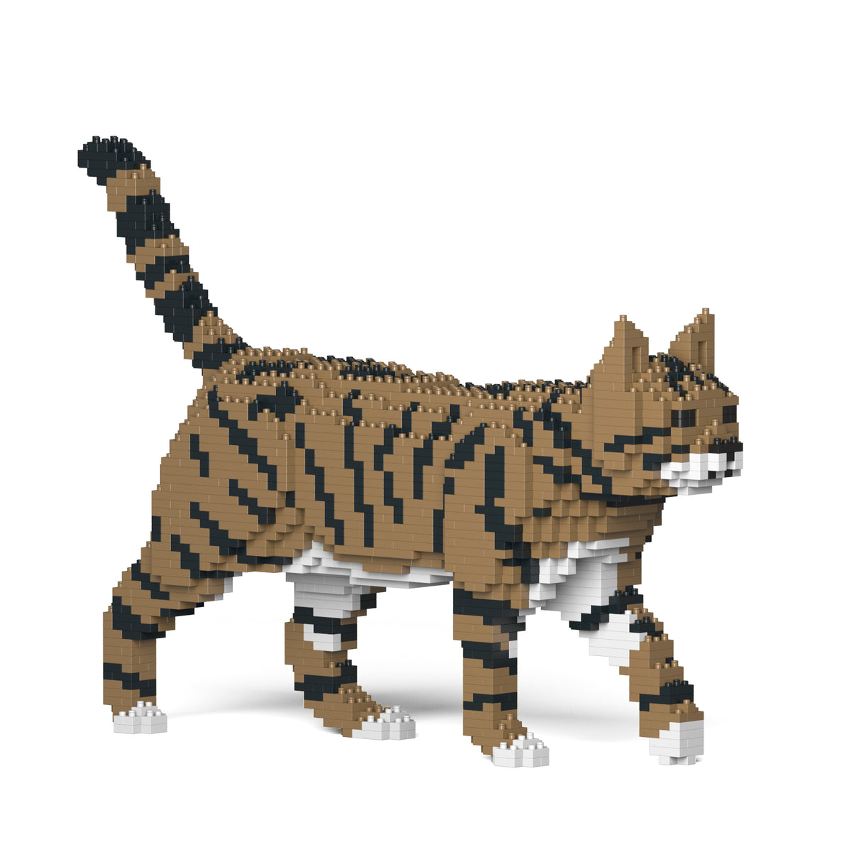 Jekca - Cat - Small (03S-M04)