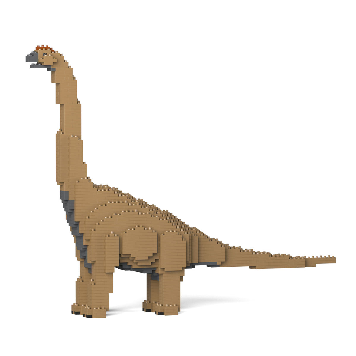 Jekca - Brachiosaurus - Small (01S-M01)