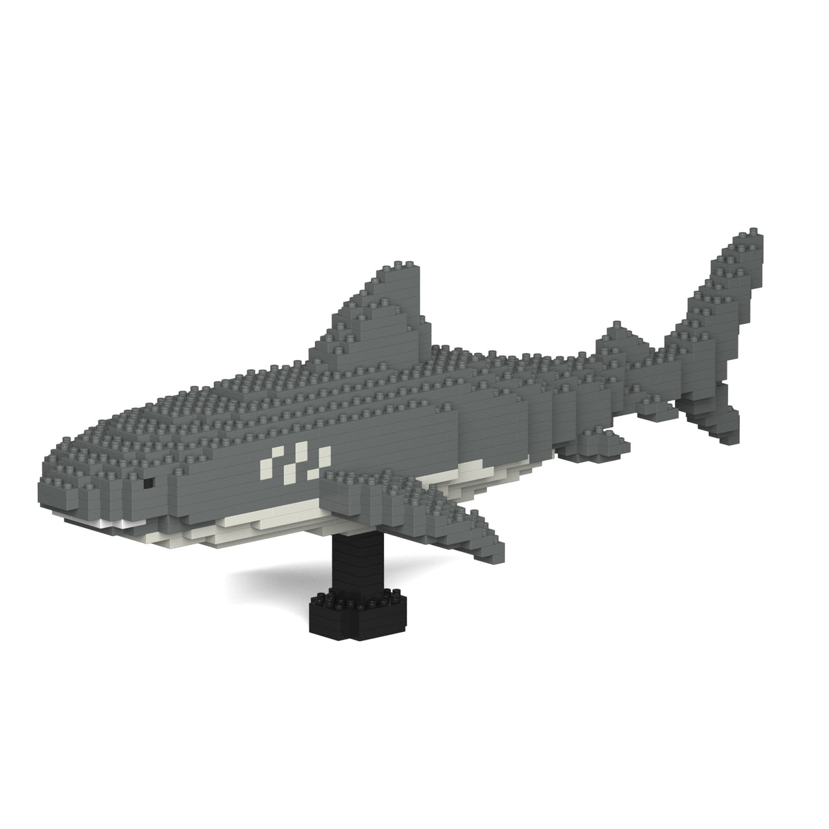 Jekca - Tiger Shark - Small (01S)