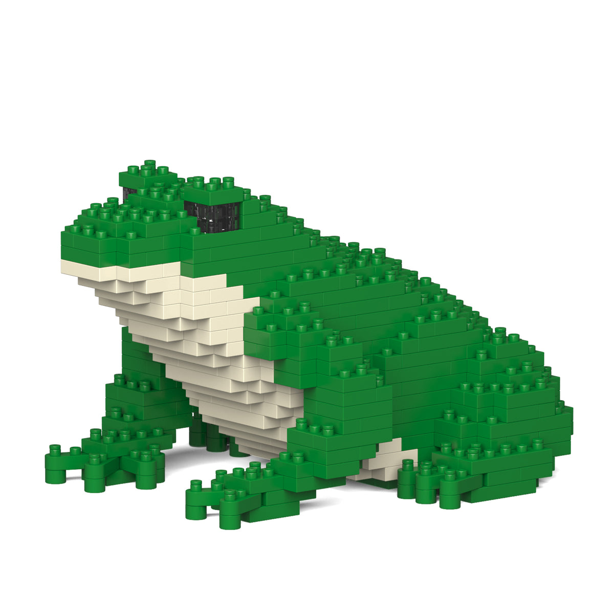 Jekca - Frog - Small (01S-M01)
