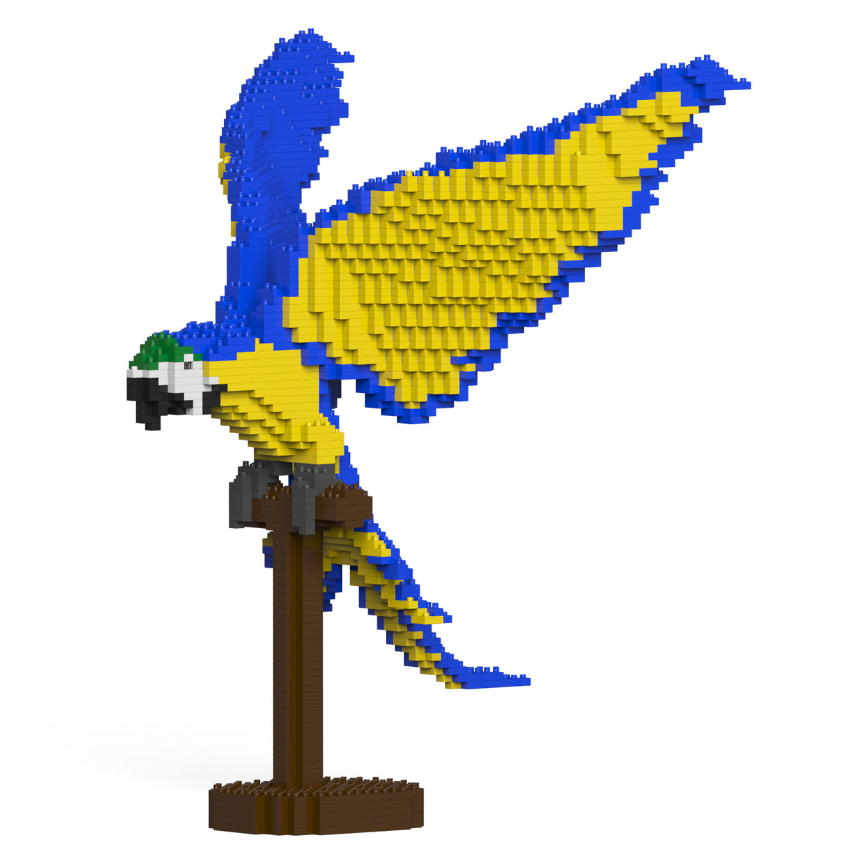 Jekca - Blue-and-Gold Macaw - Small (02S)