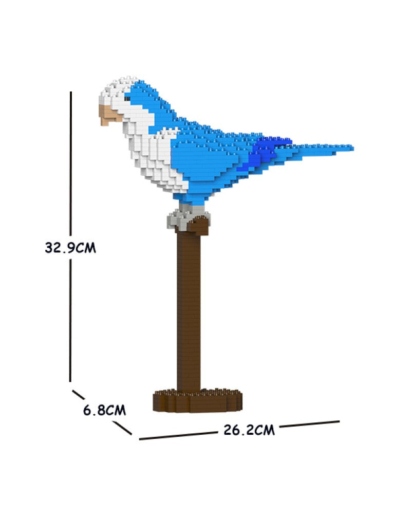 Jekca - Quaker Parrot - Small (01S-M02)