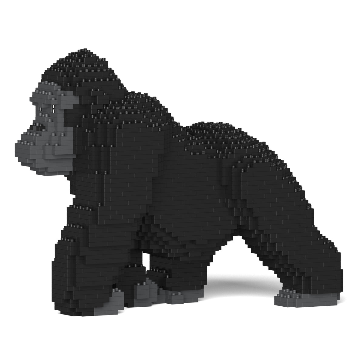 Jekca - Gorilla - Small (01S)