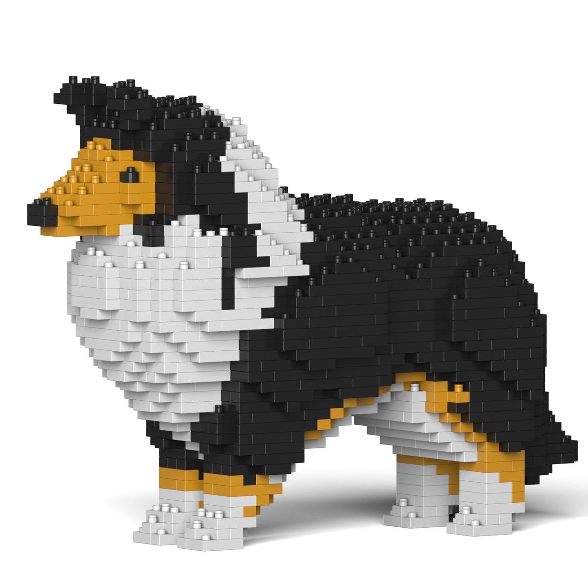 Jekca - Shetland Sheepdog - Small (01S-S02)