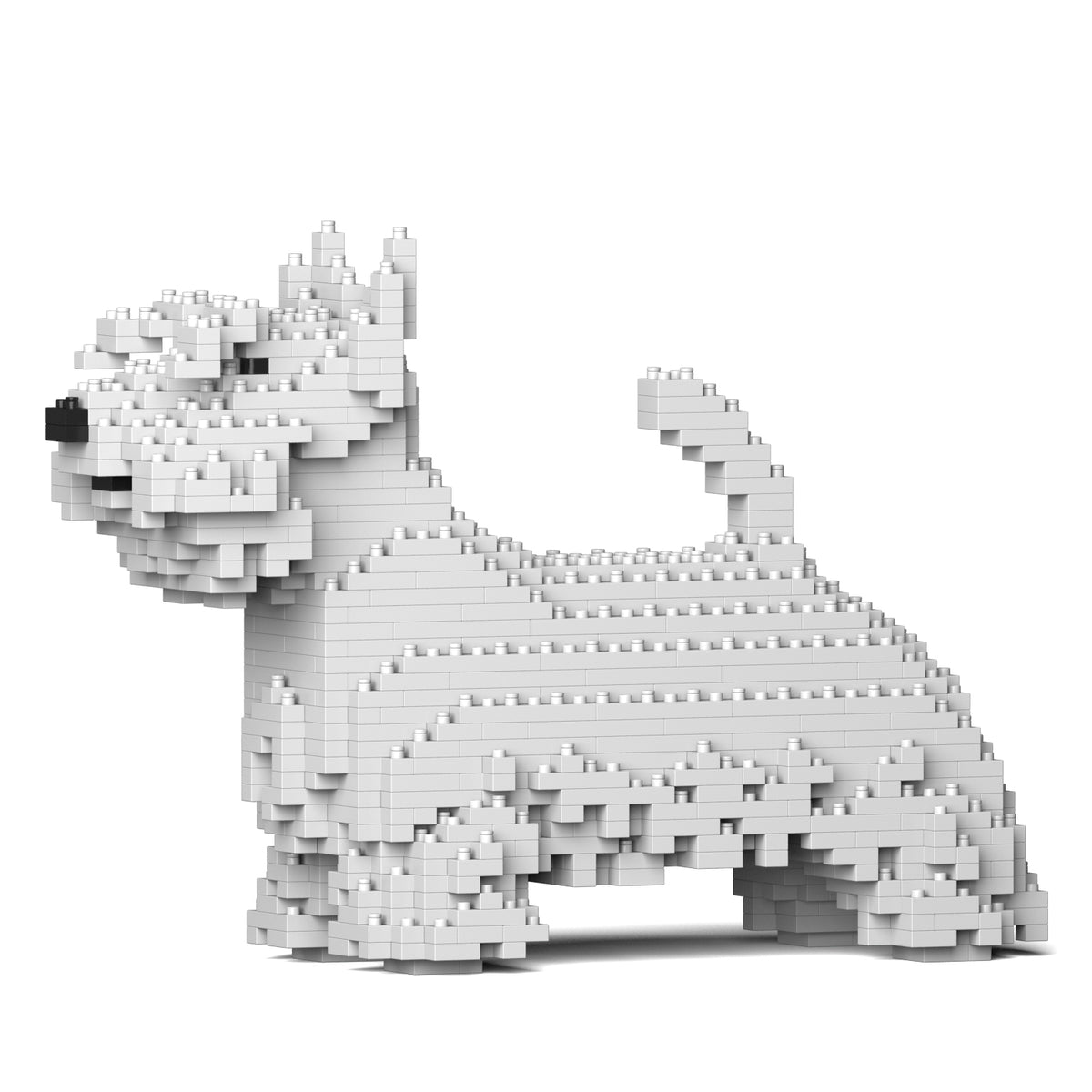 Jekca - Scottish Terrier - Small (01S-M02)