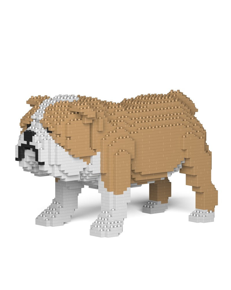 Jekca - English Bulldog - Small (01S-M03)