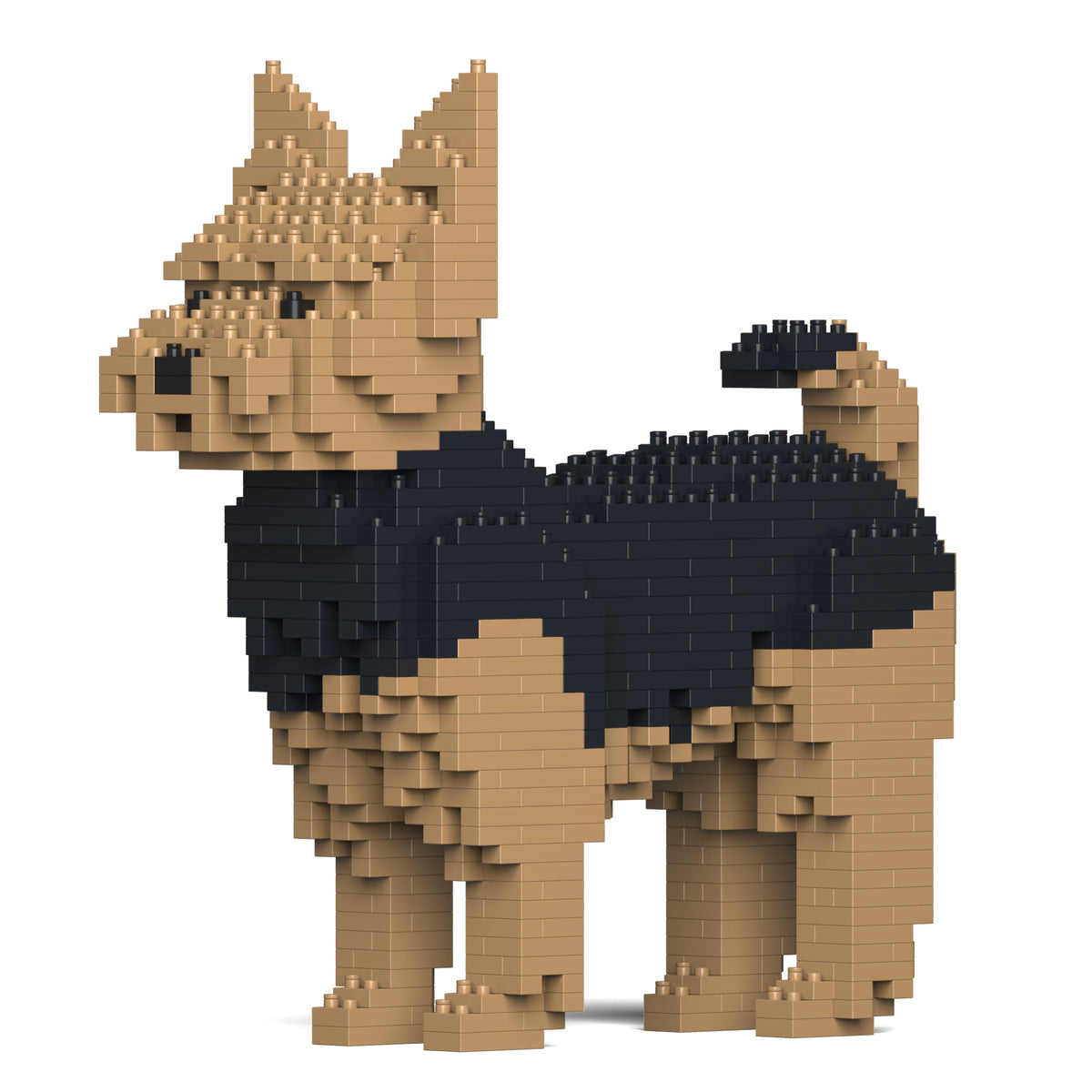 Jekca - Yorkshire Terrier - Small (01S)