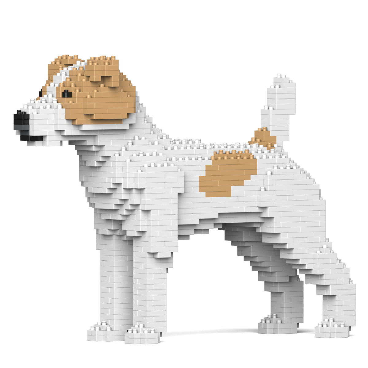 Jekca - Jack Russell Terrier - Small (01S-M03)