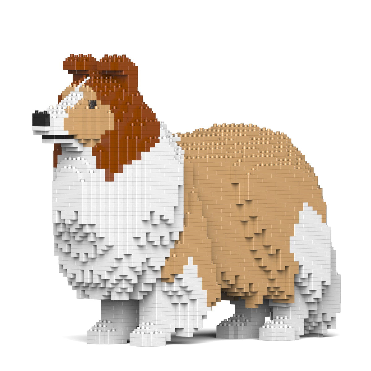 Jekca - Shetland Sheepdog 02SM01
