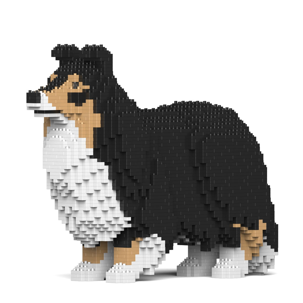 Jekca - Shetland Sheepdog 02SM02