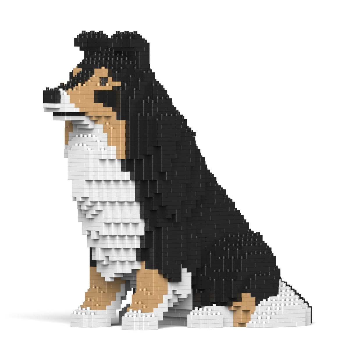 Jekca - Shetland Sheepdog 03SM02