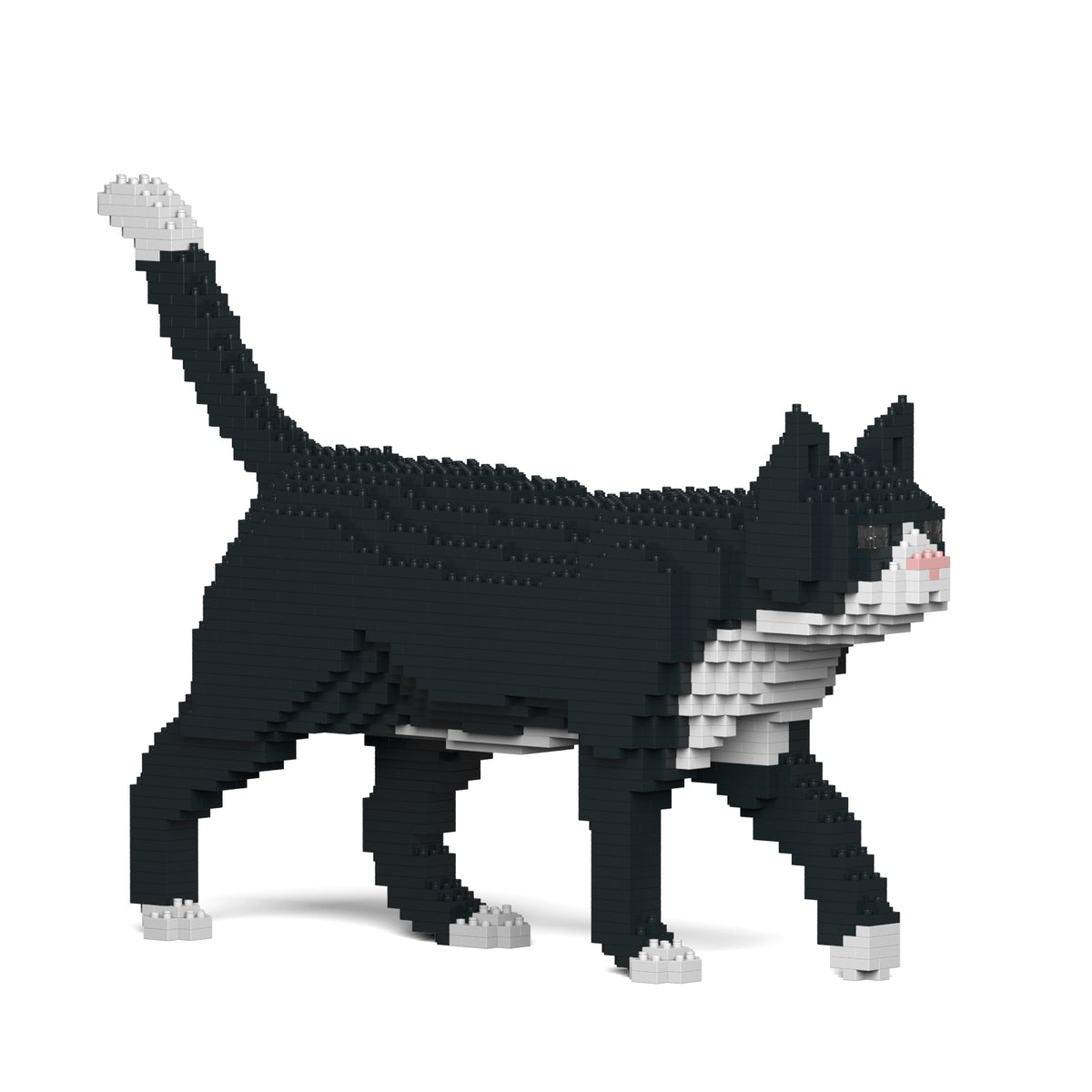 Jekca - Tuxedo Cat - Small (02S)