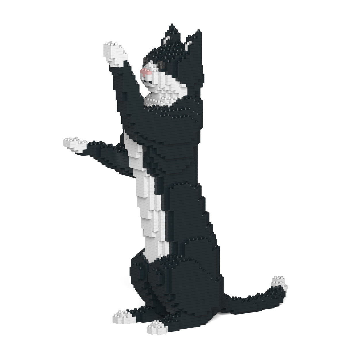 Jekca - Tuxedo Cat - Small (05S)