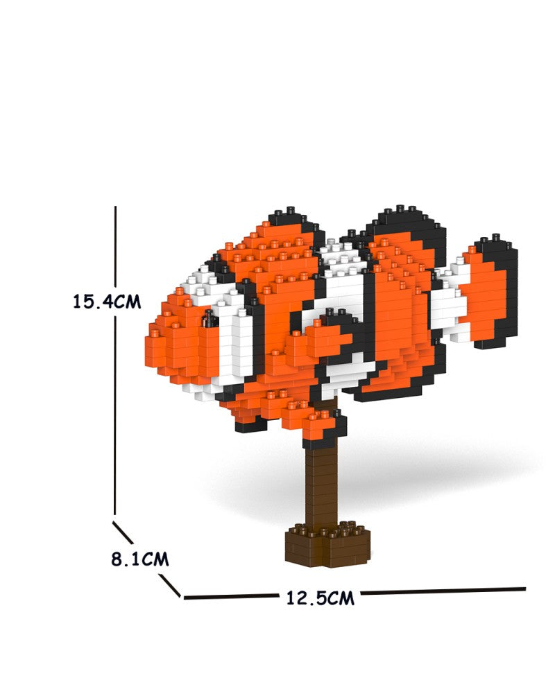 Jekca - Percula Clownfish - Small (01S)