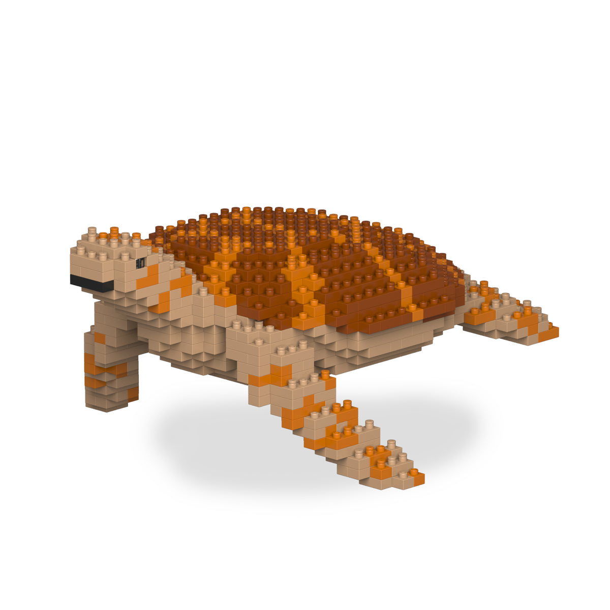 Jekca - Sea Turtle - Small (01S-M01)