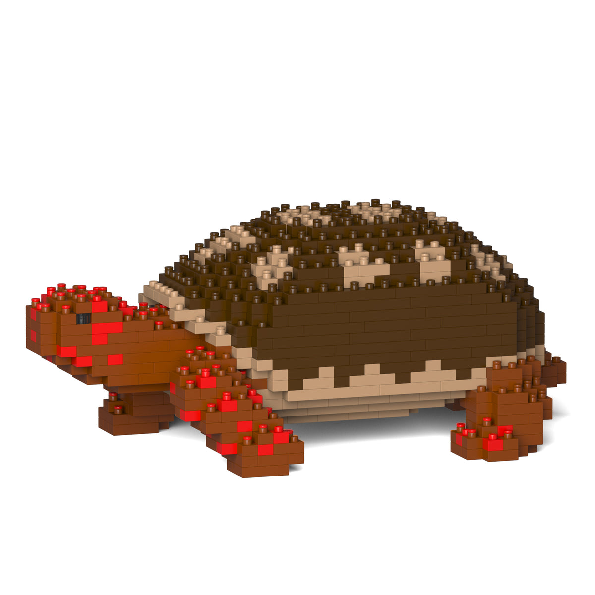 Jekca - Red-footed Tortoise - Small (01S)