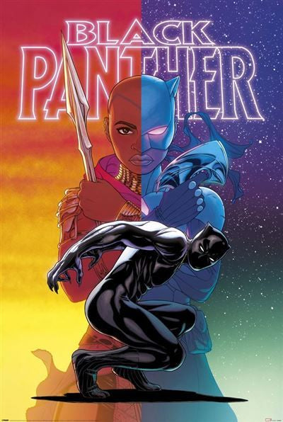 Black Panther: Wakanda Forever - Colour Split Poster
