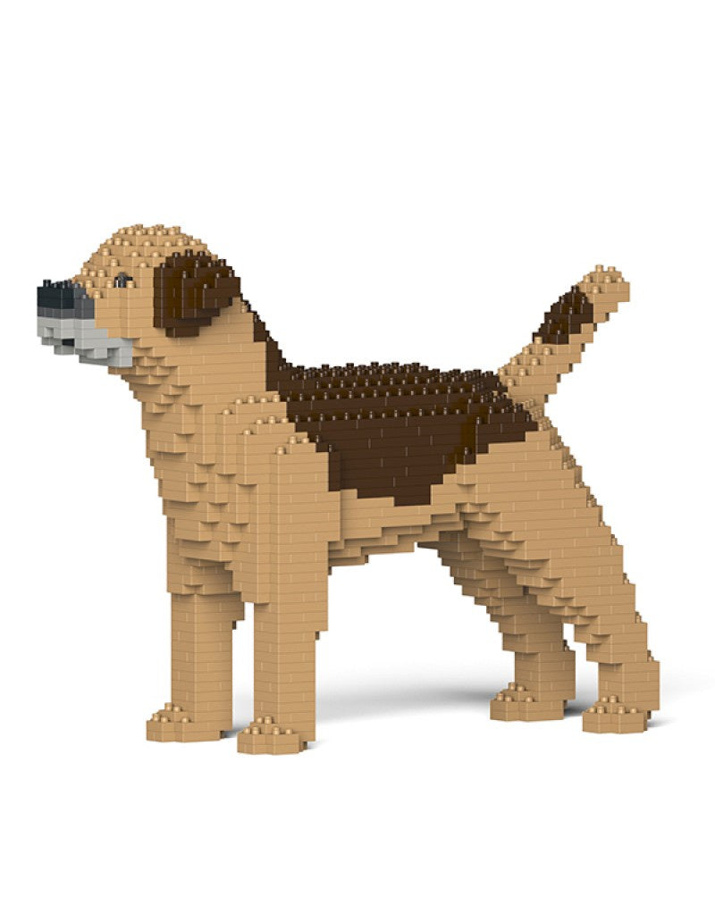 Jekca - Border Terrier - Small (01S-M02)