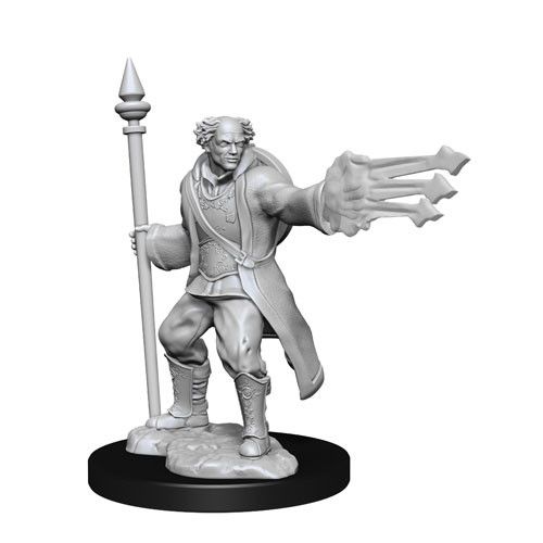 Dungeons &amp; Dragons - Nolzurs Marvelous Unpainted Miniatures Male Multiclass Cleric + Wizard