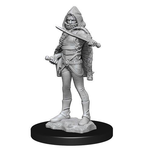 Dungeons &amp; Dragons - Nolzurs Marvelous Unpainted Miniatures Darkling Elder &amp; Darklings