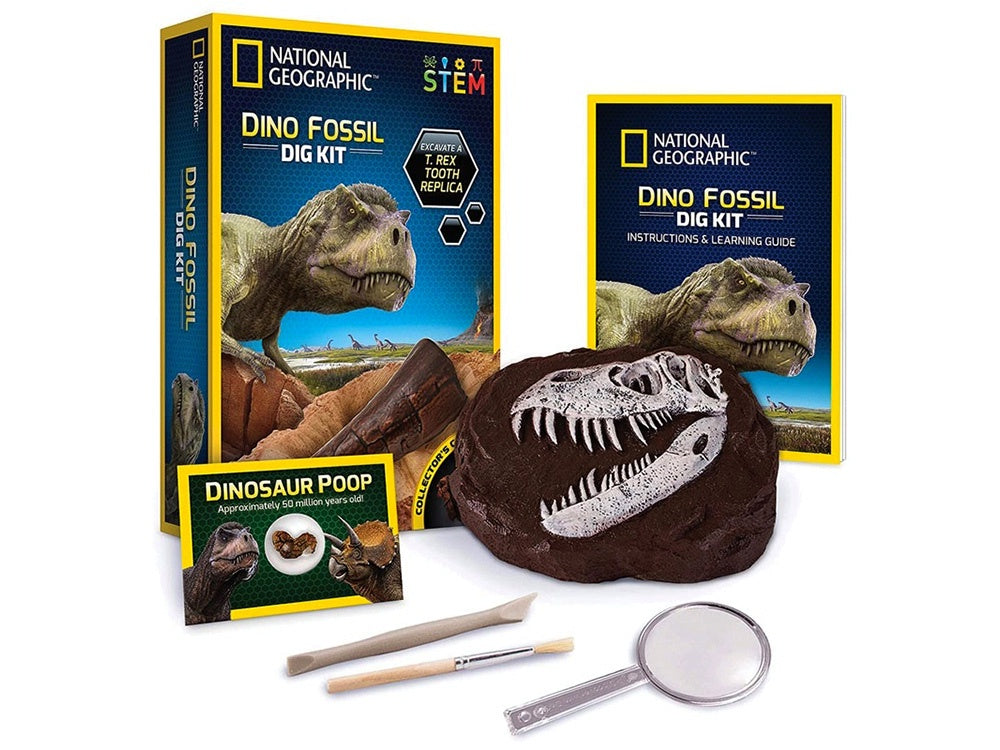 National Geographic - Dino Fossil Dig Kit