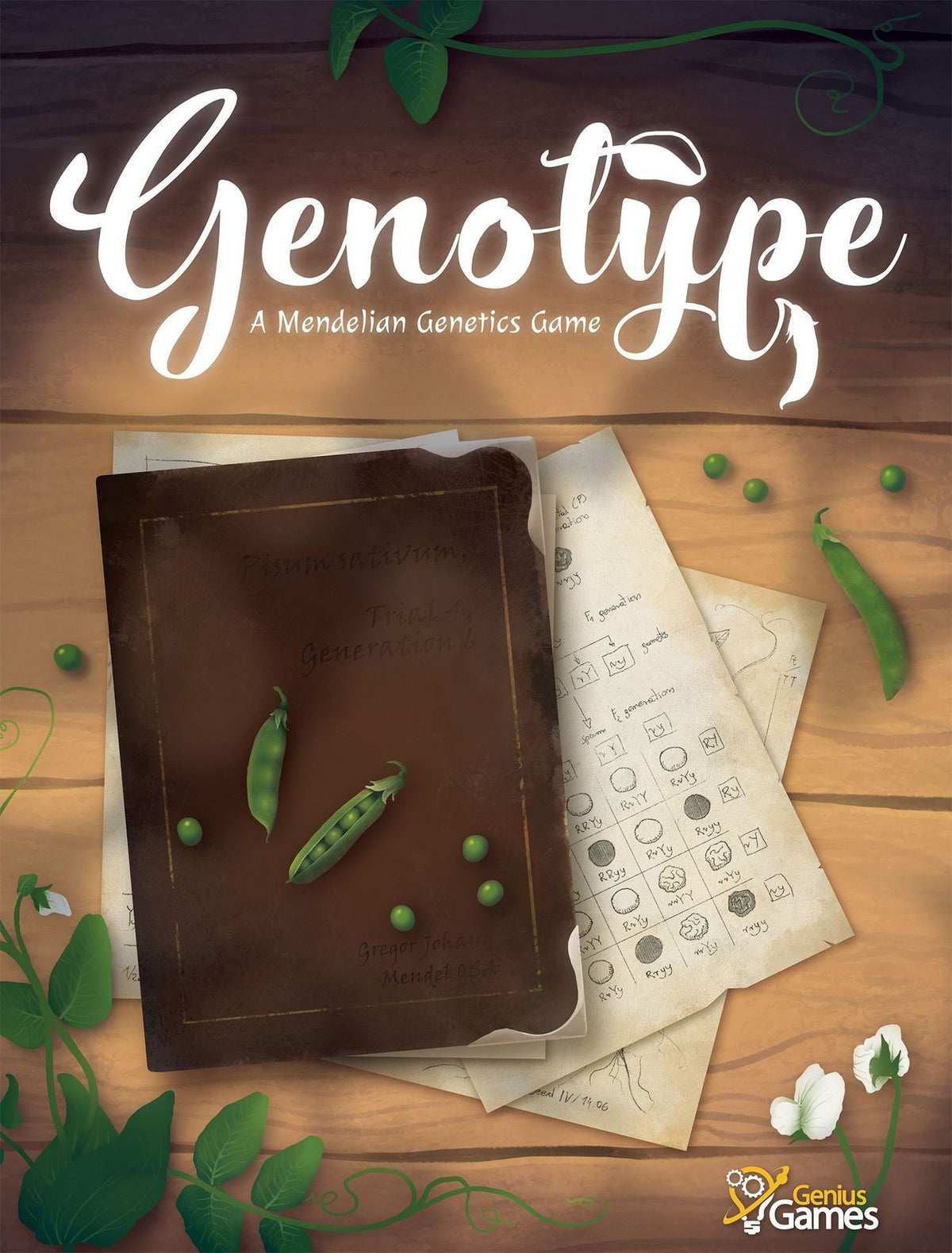 Genotype - A Mendelian Genetics
