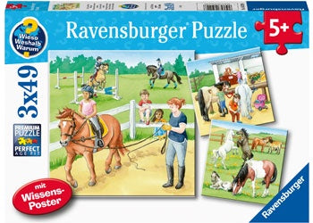 Ravensburger - A Day at the Stables 3x49 Pieces Jigsaw