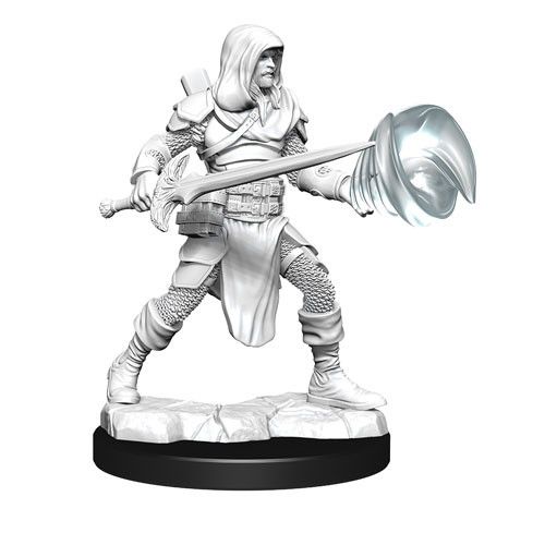 Dungeons &amp; Dragons - Nolzurs Marvelous Unpainted Miniatures Male Multiclass Fighter + Wizard