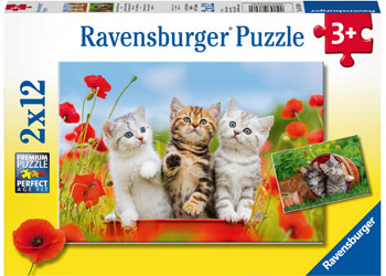Ravensburger Kitten Adventures - 2x12 Piece Jigsaw