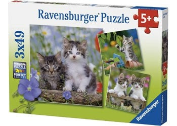 Ravensburger - Kittens - 3x49 Piece Jigsaw