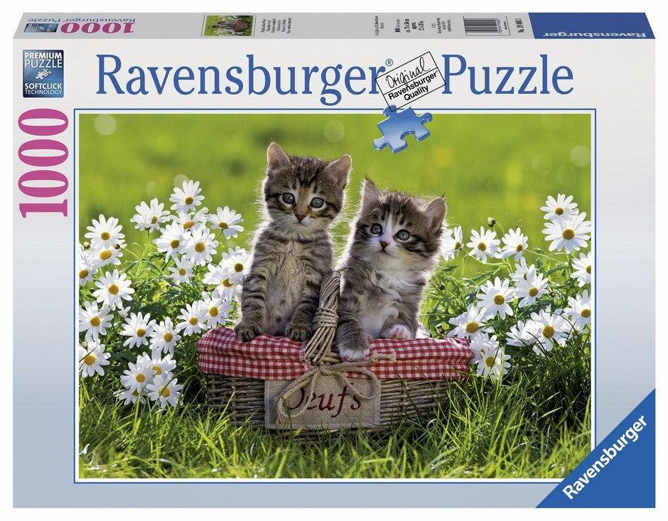 Ravensburger Picnic In The Meadow - 1000 Piece Jigsaw