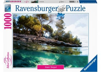 Ravensburger - Points of View - 1000 Piece Jigsaw