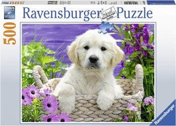 Ravensburger Sweet Golden Retriever - 500 Piece Jigsaw